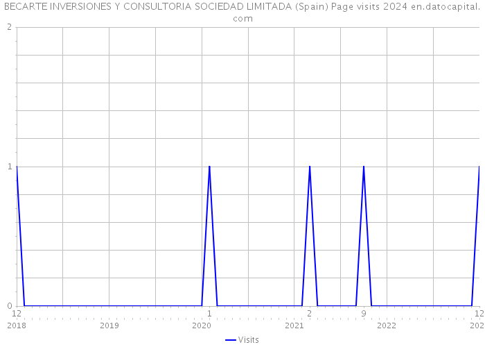 BECARTE INVERSIONES Y CONSULTORIA SOCIEDAD LIMITADA (Spain) Page visits 2024 