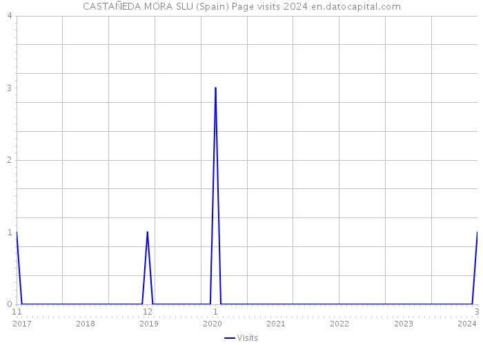 CASTAÑEDA MORA SLU (Spain) Page visits 2024 