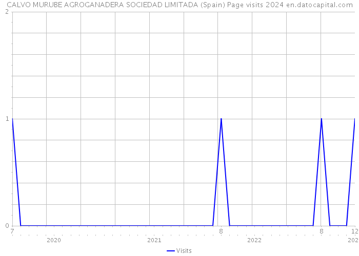 CALVO MURUBE AGROGANADERA SOCIEDAD LIMITADA (Spain) Page visits 2024 