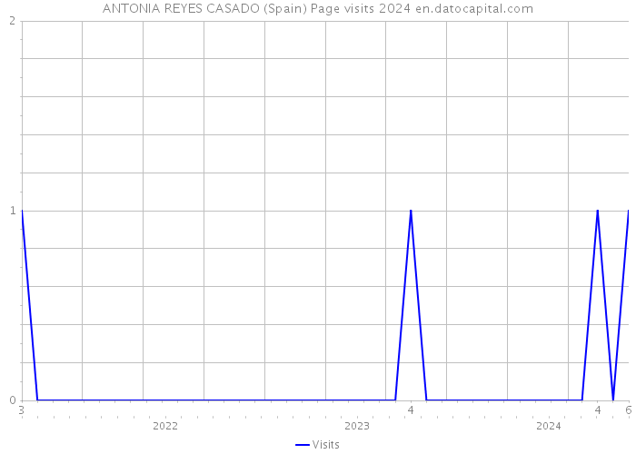 ANTONIA REYES CASADO (Spain) Page visits 2024 