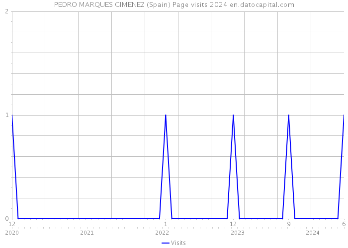 PEDRO MARQUES GIMENEZ (Spain) Page visits 2024 