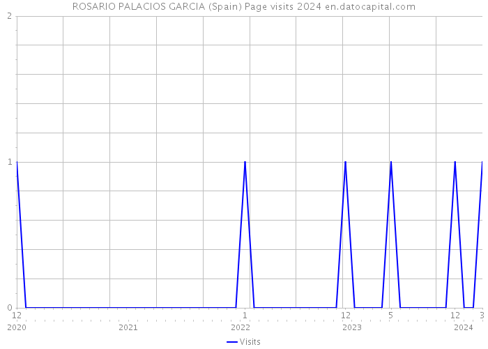 ROSARIO PALACIOS GARCIA (Spain) Page visits 2024 
