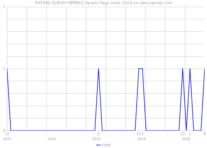 RAFAEL DURAN HERBAS (Spain) Page visits 2024 