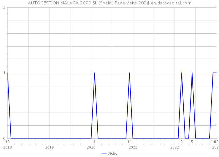 AUTOGESTION MALAGA 2000 SL (Spain) Page visits 2024 