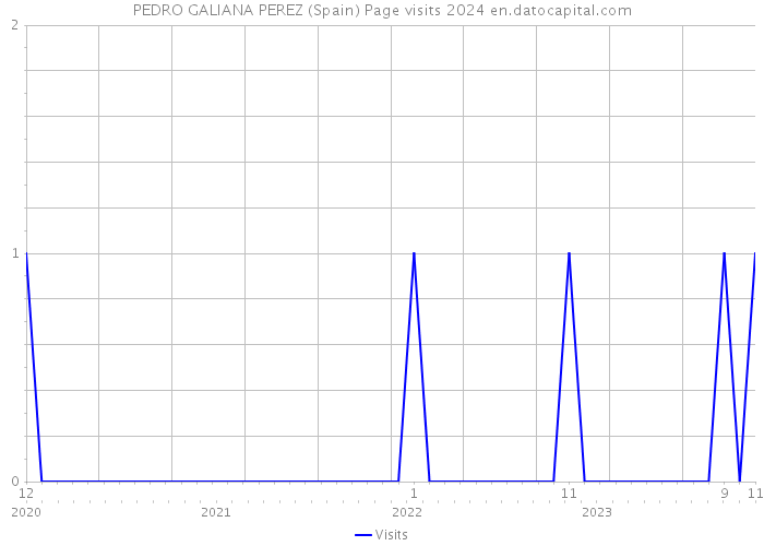 PEDRO GALIANA PEREZ (Spain) Page visits 2024 