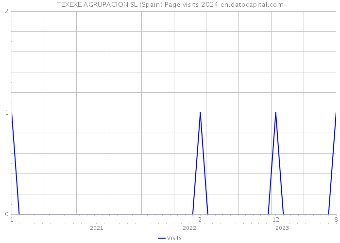 TEXEXE AGRUPACION SL (Spain) Page visits 2024 