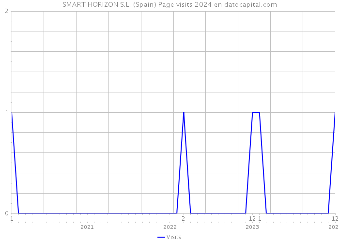 SMART HORIZON S.L. (Spain) Page visits 2024 