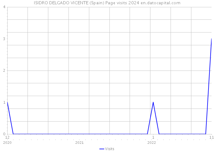 ISIDRO DELGADO VICENTE (Spain) Page visits 2024 