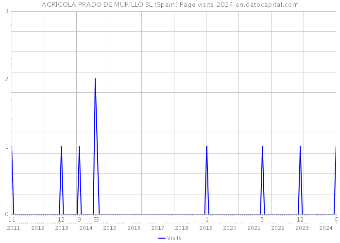 AGRICOLA PRADO DE MURILLO SL (Spain) Page visits 2024 