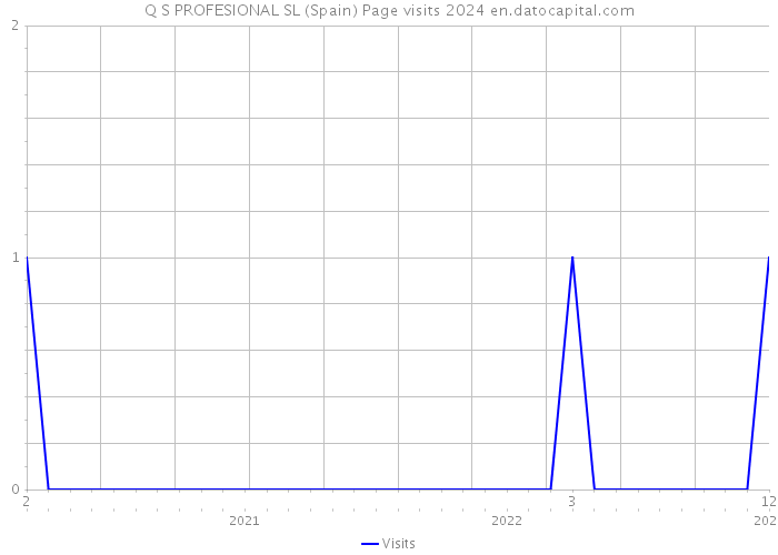 Q S PROFESIONAL SL (Spain) Page visits 2024 