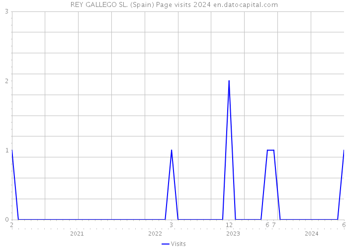 REY GALLEGO SL. (Spain) Page visits 2024 