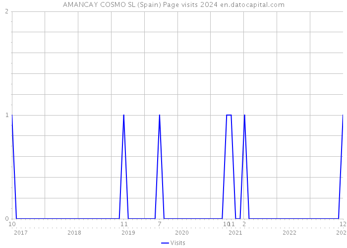 AMANCAY COSMO SL (Spain) Page visits 2024 