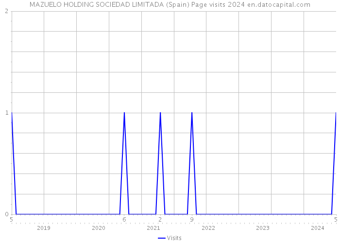 MAZUELO HOLDING SOCIEDAD LIMITADA (Spain) Page visits 2024 