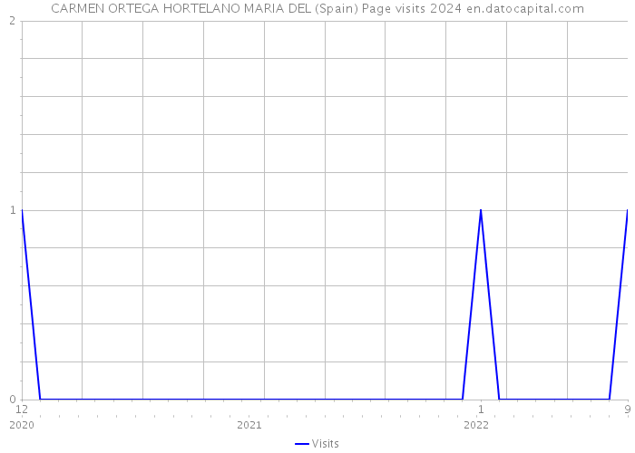 CARMEN ORTEGA HORTELANO MARIA DEL (Spain) Page visits 2024 