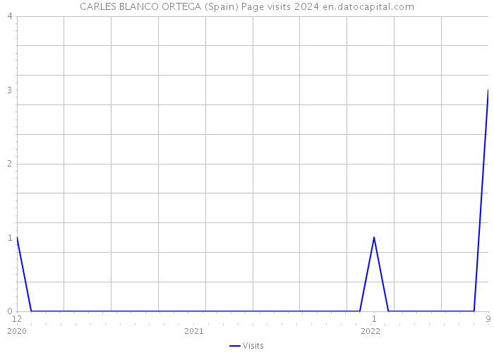 CARLES BLANCO ORTEGA (Spain) Page visits 2024 