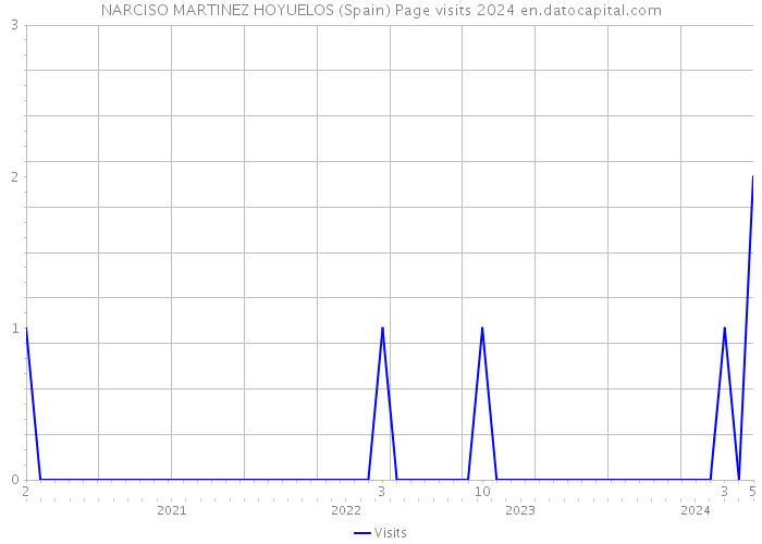 NARCISO MARTINEZ HOYUELOS (Spain) Page visits 2024 
