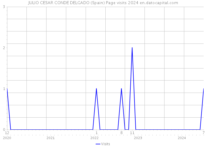 JULIO CESAR CONDE DELGADO (Spain) Page visits 2024 