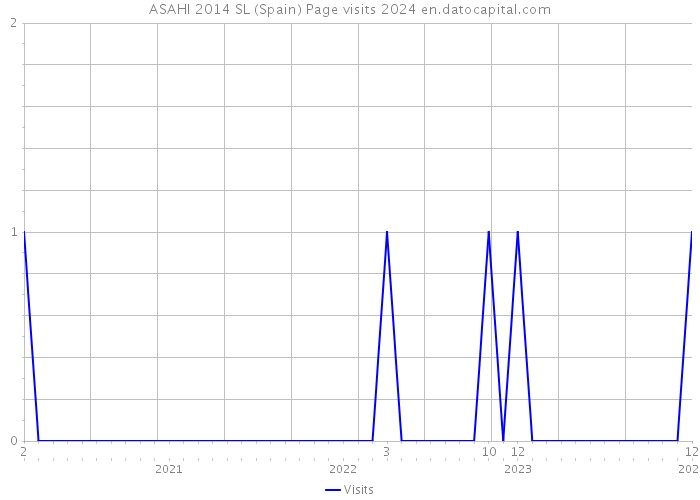 ASAHI 2014 SL (Spain) Page visits 2024 