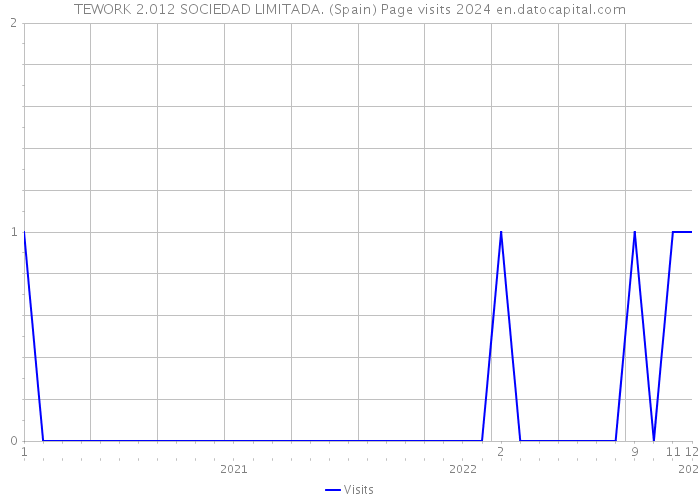 TEWORK 2.012 SOCIEDAD LIMITADA. (Spain) Page visits 2024 