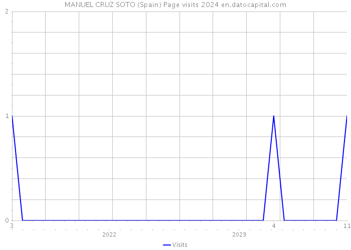 MANUEL CRUZ SOTO (Spain) Page visits 2024 