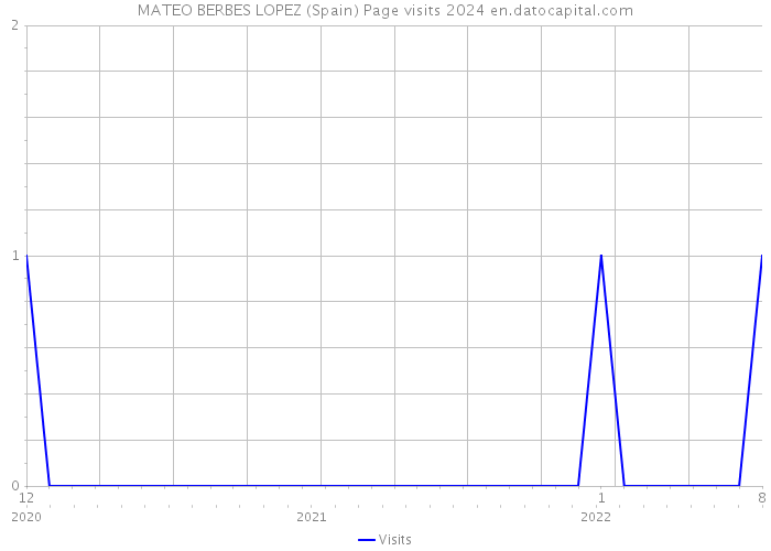 MATEO BERBES LOPEZ (Spain) Page visits 2024 