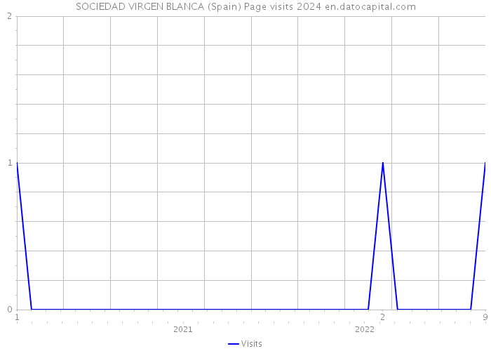 SOCIEDAD VIRGEN BLANCA (Spain) Page visits 2024 