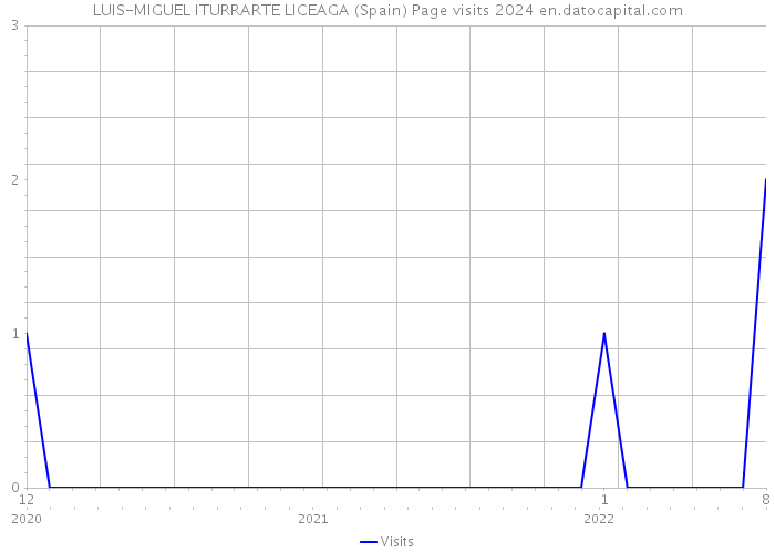 LUIS-MIGUEL ITURRARTE LICEAGA (Spain) Page visits 2024 