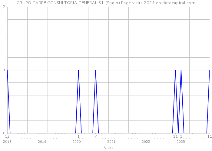 GRUPO CARPE CONSULTORIA GENERAL S.L (Spain) Page visits 2024 