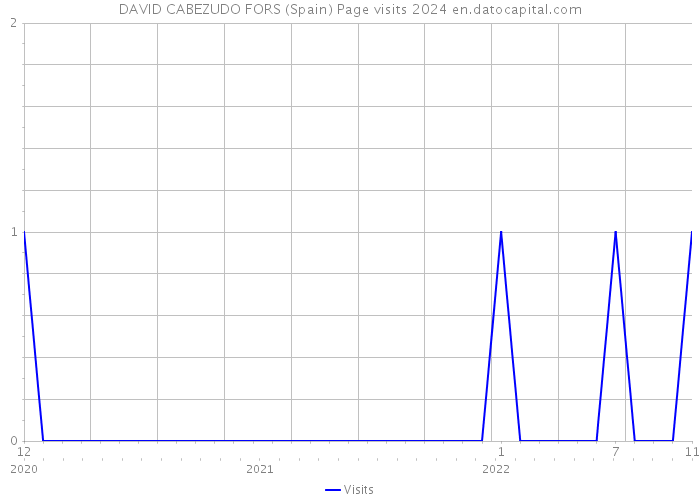 DAVID CABEZUDO FORS (Spain) Page visits 2024 