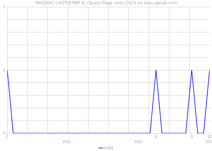 HOLDING CASTLE PER SL (Spain) Page visits 2024 