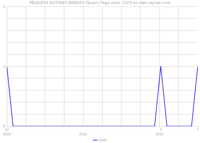 PELEGRIN ANTONIO BAENAS (Spain) Page visits 2024 