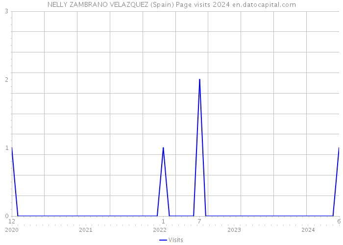NELLY ZAMBRANO VELAZQUEZ (Spain) Page visits 2024 