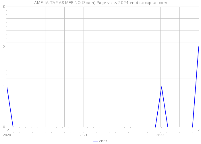 AMELIA TAPIAS MERINO (Spain) Page visits 2024 