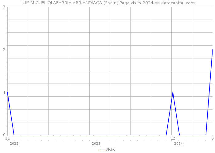 LUIS MIGUEL OLABARRIA ARRIANDIAGA (Spain) Page visits 2024 