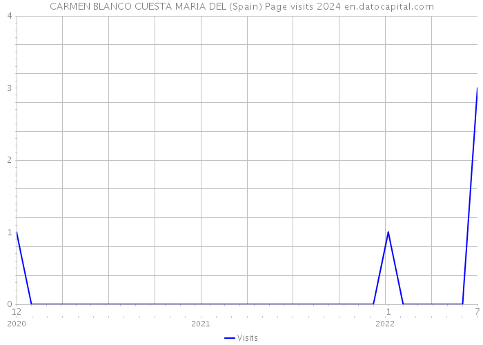 CARMEN BLANCO CUESTA MARIA DEL (Spain) Page visits 2024 