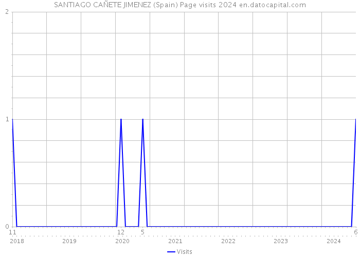 SANTIAGO CAÑETE JIMENEZ (Spain) Page visits 2024 