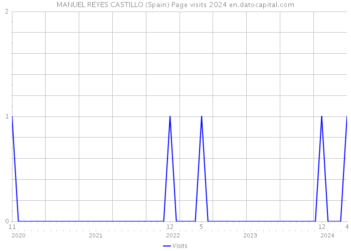 MANUEL REYES CASTILLO (Spain) Page visits 2024 