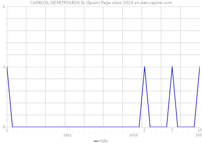 CADELOIL DE PETROLEOS SL (Spain) Page visits 2024 