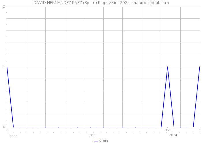 DAVID HERNANDEZ PAEZ (Spain) Page visits 2024 