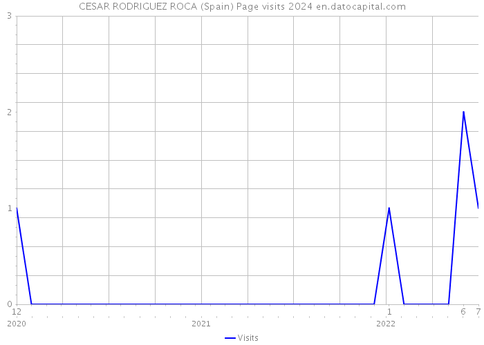 CESAR RODRIGUEZ ROCA (Spain) Page visits 2024 