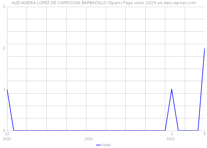 ALEXANDRA LOPEZ DE CARRIZOSA BARBADILLO (Spain) Page visits 2024 
