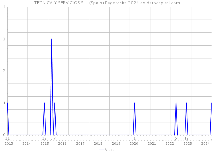 TECNICA Y SERVICIOS S.L. (Spain) Page visits 2024 