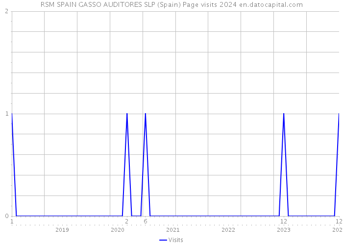 RSM SPAIN GASSO AUDITORES SLP (Spain) Page visits 2024 