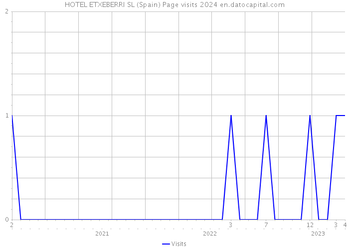 HOTEL ETXEBERRI SL (Spain) Page visits 2024 