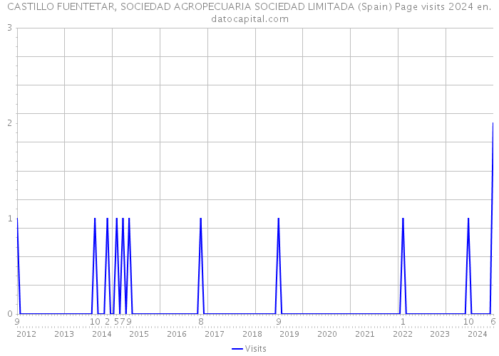 CASTILLO FUENTETAR, SOCIEDAD AGROPECUARIA SOCIEDAD LIMITADA (Spain) Page visits 2024 