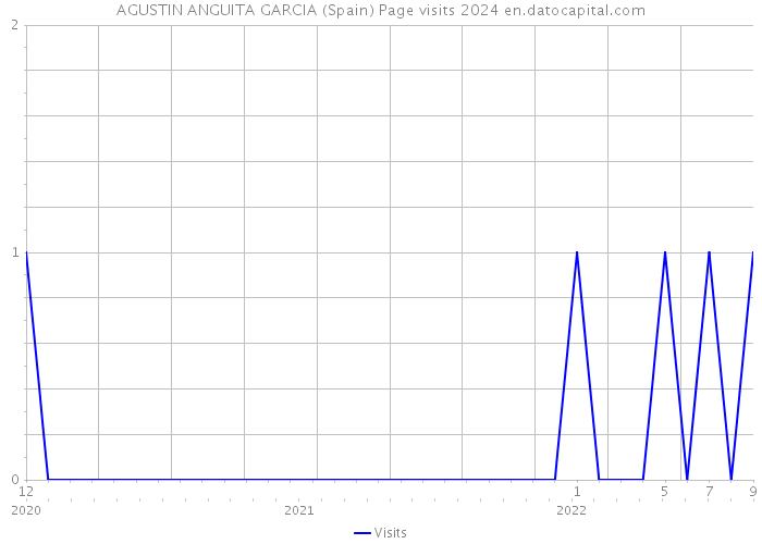 AGUSTIN ANGUITA GARCIA (Spain) Page visits 2024 