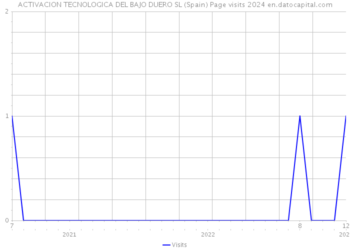 ACTIVACION TECNOLOGICA DEL BAJO DUERO SL (Spain) Page visits 2024 