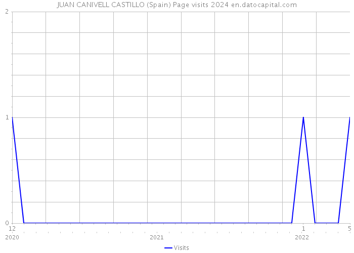 JUAN CANIVELL CASTILLO (Spain) Page visits 2024 