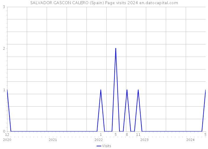 SALVADOR GASCON CALERO (Spain) Page visits 2024 