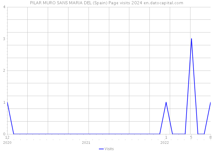 PILAR MURO SANS MARIA DEL (Spain) Page visits 2024 